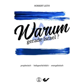 Produktbild des Artikels Warum gerade Israel? (Buch - Paperback)