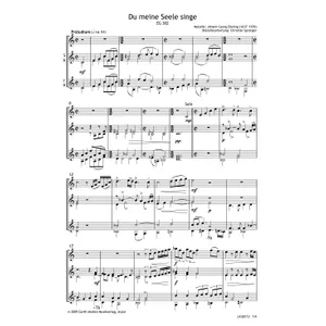 Produktbild des Artikels Du meine Seele singe (Noten - Download)