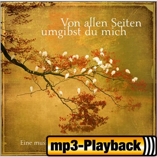 Produktbild des Artikels Ich weiß der Herr hilft mir (Playback ohne Backings) (MP3-Track - Download)