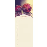 Stimmungsbild zu KostbarZeiten Geburtstagskalender - immerwährend