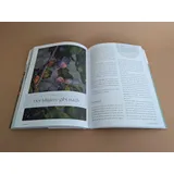 Stimmungsbild zu Das Bibellesebuch zu 1. Mose