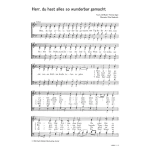 Produktbild des Artikels Herr, du hast alles so wunderbar gemacht (Noten - Download)