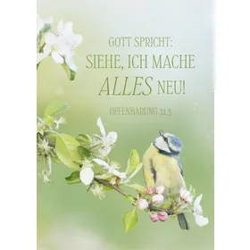 Produktbild des Artikels Jahreslosung 2026 - Poster A4 "Vogel" ()