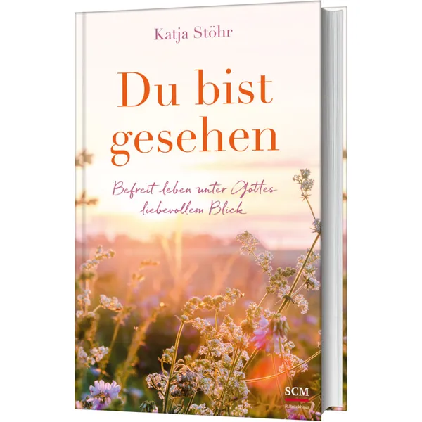 Produktbild des Artikels Du bist gesehen (Buch - Gebunden)