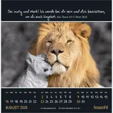 Stimmungsbild zu Kleine Wunder sehen 2026 - Postkartenkalender