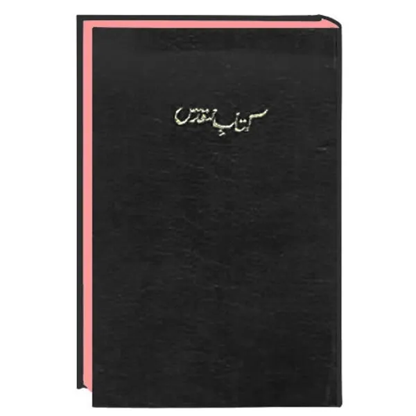 Produktbild des Artikels Bibel Urdu (Bibel - Gebunden)