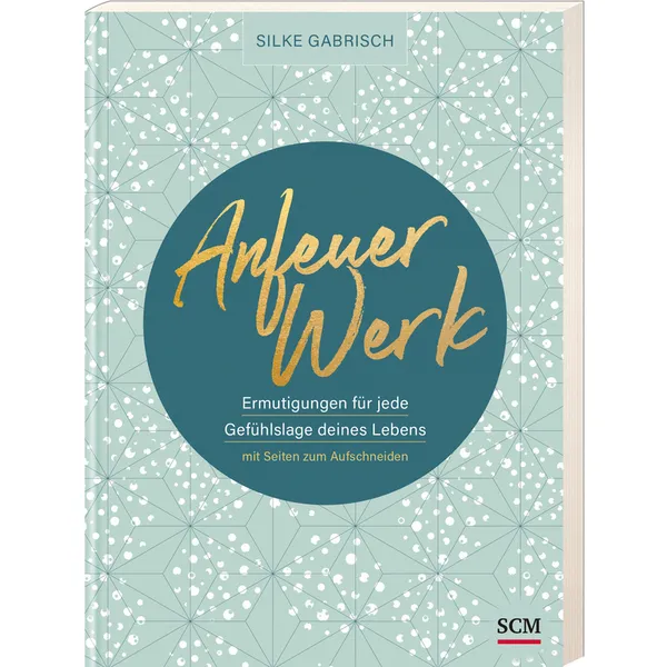 Produktbild des Artikels Anfeuerwerk (Buch - Klappenbroschur)