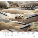 Stimmungsbild zu Beste Freunde 2026 - Posterkalender