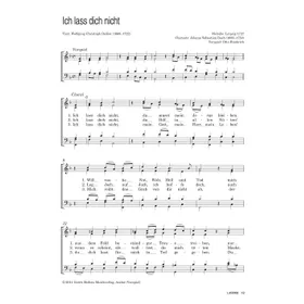 Produktbild des Artikels Ich lass dich nicht (Noten - Download)