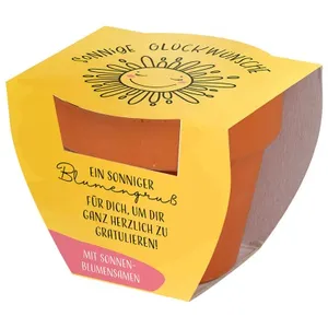 Produktbild des Artikels Blumenüberraschung "Sonnige Glückwünsche" ()
