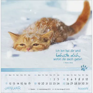 Produktbild des Artikels Kleine Katzen-Tatzen 2026 - Postkartenkalender (Kalender - Spiralbindung)