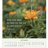 Stimmungsbild zu Zarte Blumengrüße 2026 - Tischkalender
