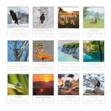 Stimmungsbild zu Natur 2027