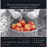 Stimmungsbild zu Kleine Wunder sehen 2026 - Postkartenkalender