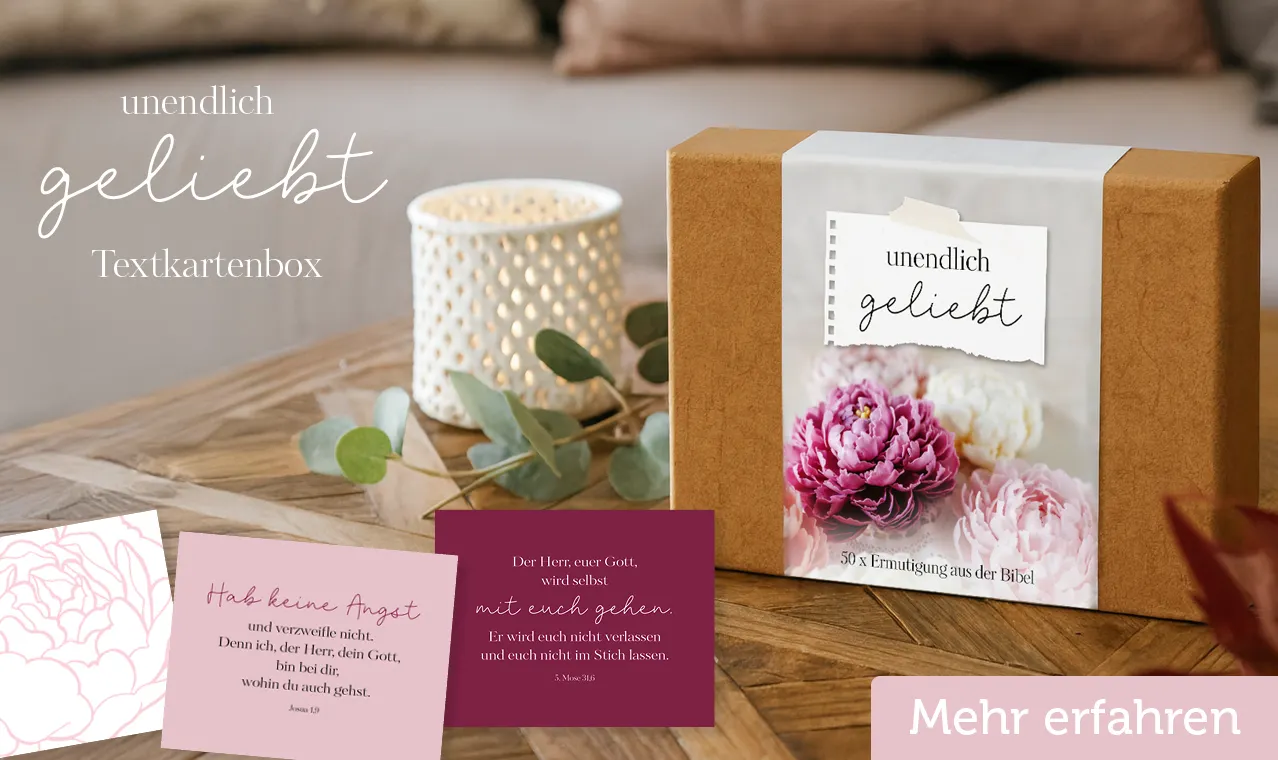 Banner Servietten Gesegnete Weihnachten