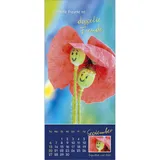 Stimmungsbild zu Augenblick mal 2026 - Aufstellkalender