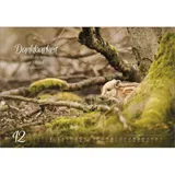 Stimmungsbild zu Real Wildlife 2026 - Wandkalender