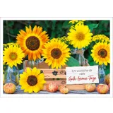 Stimmungsbild zu Alltagsglücklich - Postkartenset