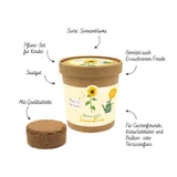 Stimmungsbild zu Pflanz-Set Kinder "Meine erste Sonnenblume"