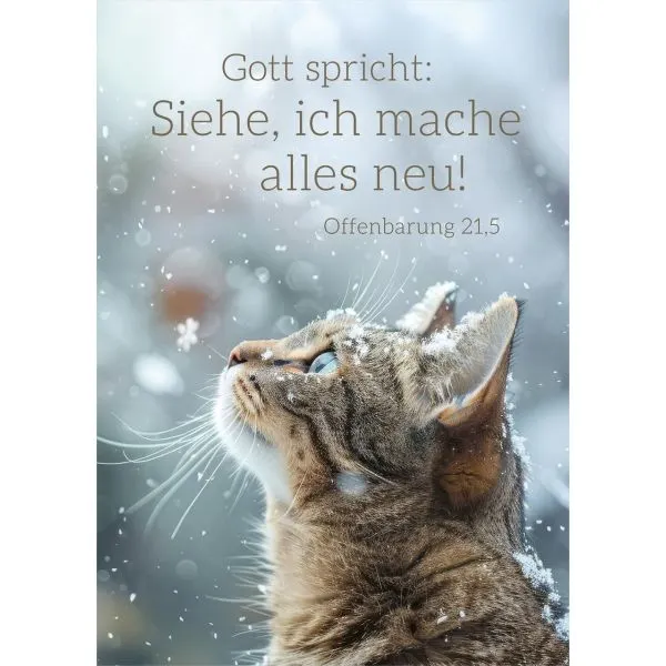 Motiv Katze