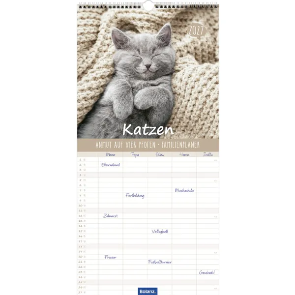 Produktbild des Artikels Familienplaner Katzen 2027 (Kalender - Spiralbindung)