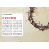 Stimmungsbild zu lebenslust Special Ostern neu erleben (Verteilheft)