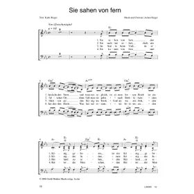Produktbild des Artikels Sie sahen von fern (Noten - Download)