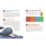 Stimmungsbild zu Bible Fun Facts