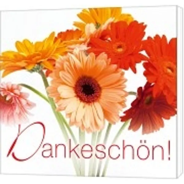 Produktbild des Artikels Dankeschön (Audio - CD)