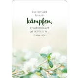 Stimmungsbild zu Königstochter - Blechdose