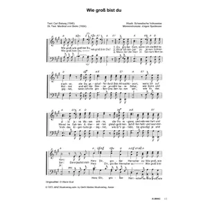 Produktbild des Artikels Wie groß bist du (Noten - Download)
