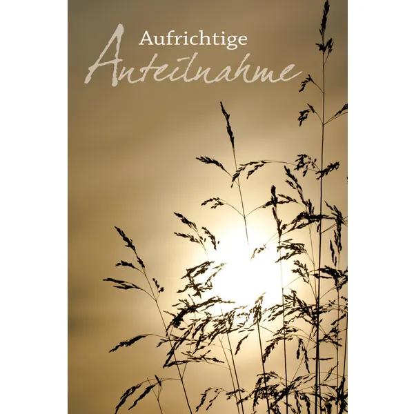 Produktbild des Artikels Faltkarte "Aufrichtige Anteilnahme" - 5 Stück (Schreibwaren)
