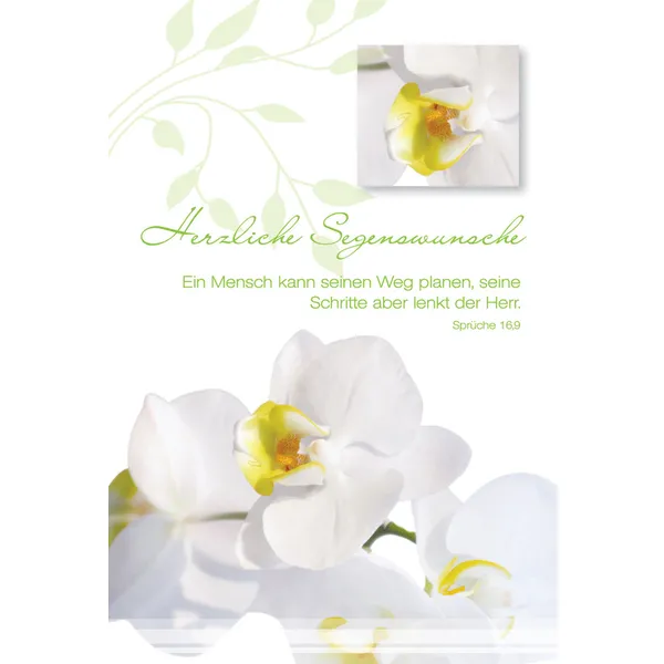 Produktbild des Artikels Faltkarte "Herzliche Segenswünsche" Blüte - 5 Stück (Schreibwaren)