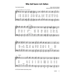 Produktbild des Artikels Wie tief kann ich fallen (Noten - Download)