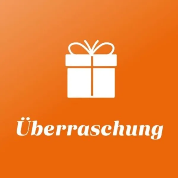 Produktbild des Artikels Überraschungspaket "Romane" (Buch)