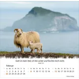 Stimmungsbild zu Ein Leben für die Schafe 2026 - Tischkalender
