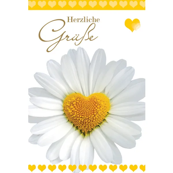 Produktbild des Artikels Faltkarte "Herzliche Grüße" Gänseblümchen - 5 Stück (Schreibwaren)