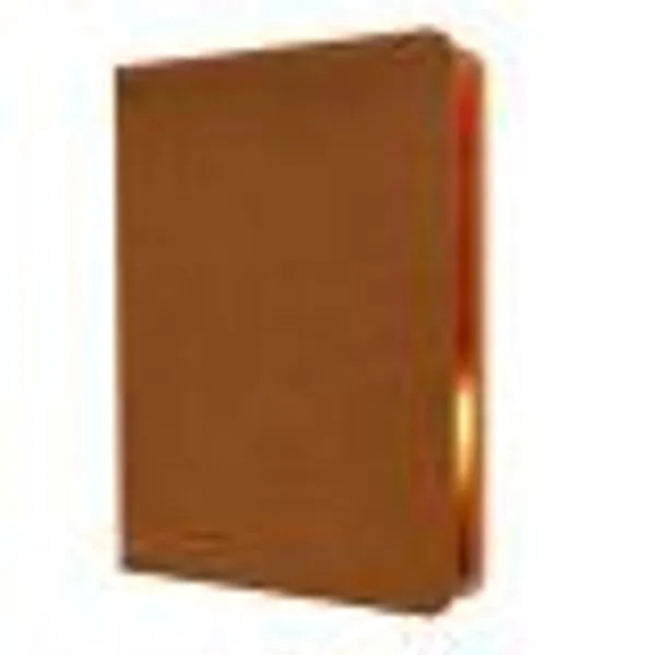 Produktbild des Artikels Die heilige Schrift - Leder braun, Rotgoldschnitt (Bibel - Leder)