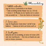 Stimmungsbild zu Pflanz-Set Kinder "Ringel-Ringel-Blume"