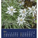 Stimmungsbild zu Aus der Stille leben 2026 - Aufstellkalender