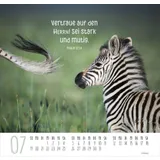 Stimmungsbild zu Beste Freunde 2026 - Posterkalender