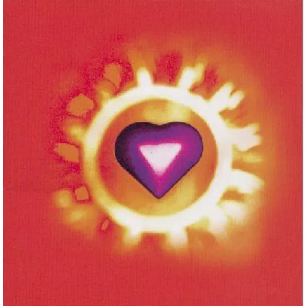 Produktbild des Artikels Von ganzem Herzen - Playback (Audio - CD)