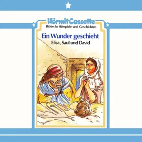 Produktbild des Artikels Ein Wunder geschieht - Elisa, Saul und David - Folge 10 (MP3-Hörspiel - Download)