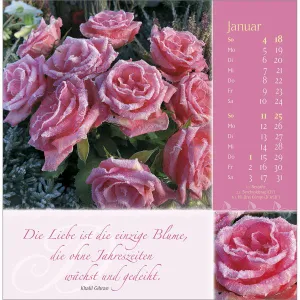 Produktbild des Artikels Rosenduft mit lieben Wünschen 2026 - Postkartenkalender (Kalender - Spiralbindung)