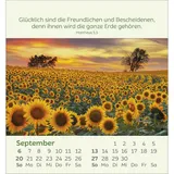 Stimmungsbild zu Kleine Blumengrüße 2026 - Aufstellkalender
