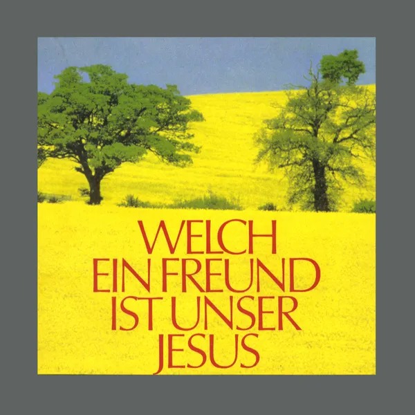 Produktbild des Artikels Welch ein Freund ist unser Jesus (MP3-Album - Download)