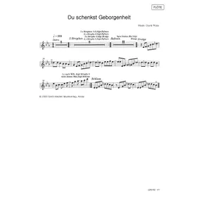 Produktbild des Artikels Du schenkst Geborgenheit (Flöte) (Noten - Download)