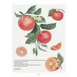 Stimmungsbild zu Lichtungen 2026 - Adventskalender