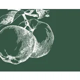 Stimmungsbild zu Jeder Tag ist ein Geschenk