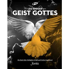 Produktbild des Artikels Geist Gottes (Buch - Paperback)
